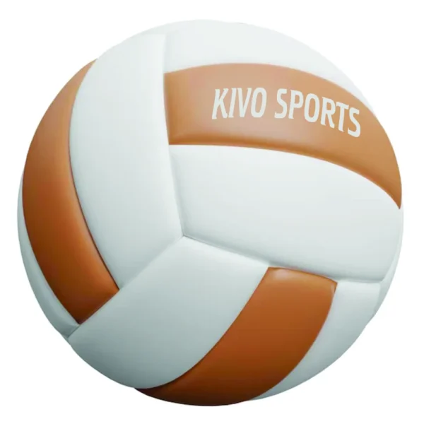 Volley Ball